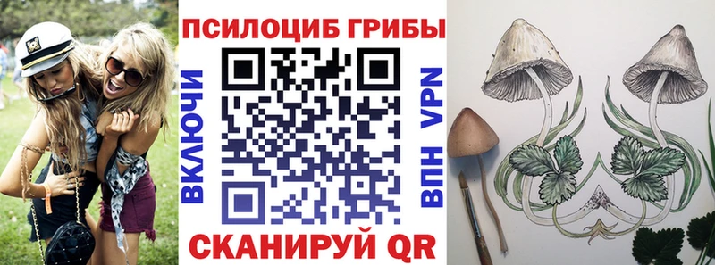 где купить наркоту  Емва  OMG ССЫЛКА  Псилоцибиновые грибы мицелий 